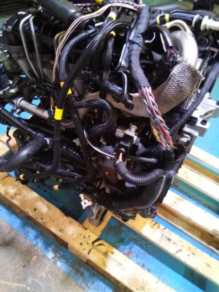 Motor PSA 1.6 HDI 16V 9HY