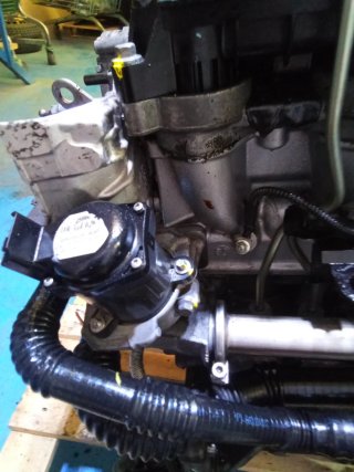 Motor PSA 1.6 HDI 16V 9HY