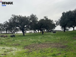 Terreno en venta en Alconchel
