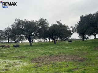 Terreno en venta en Alconchel