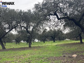 Terreno en venta en Alconchel
