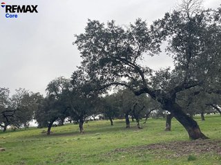 Terreno en venta en Alconchel