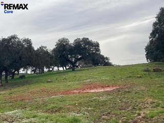Terreno en venta en Alconchel