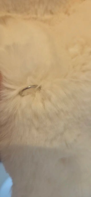 Abrigo Pinko pelo blanco y gris