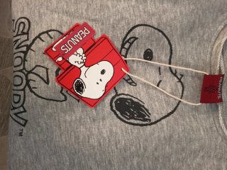 Sudadera Snoopy Peanuts Gris Talla XS