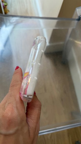 Funda iPhone 17 Pro Max Flores Transparente