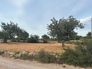 Terreno en venta en Cheste