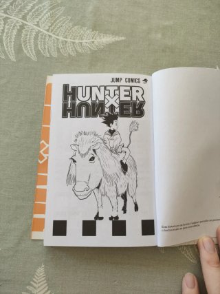 Hunter x hunter Tomo 1