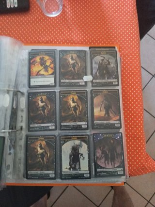 Album Magic The Gathering Pedine Token