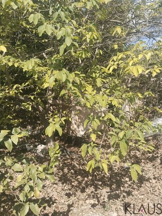 Terreno en venta en Nord en Sant Carles de la Ràpita