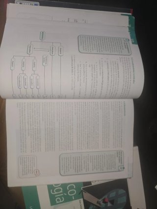 Piscología, 2° Bachillerato