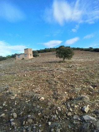 Terreno en venta en Fuente el Fresno
