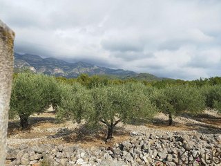 Casa rural en venta en Montsià de Mar en Alcanar