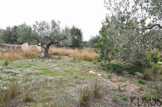Casa rural en venta en Montsià de Mar en Alcanar