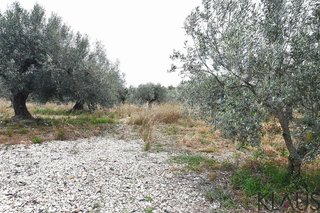 Casa rural en venta en Montsià de Mar en Alcanar