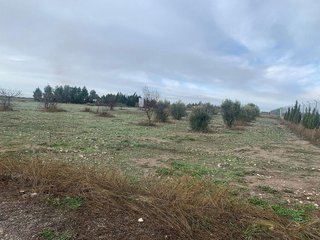 Chalet en venta en San Pablo - Santa Teresa en Albacete