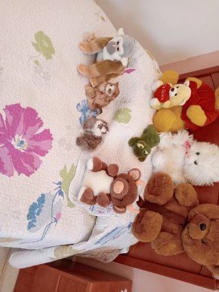 Lote de peluches envio por correos como nuevos