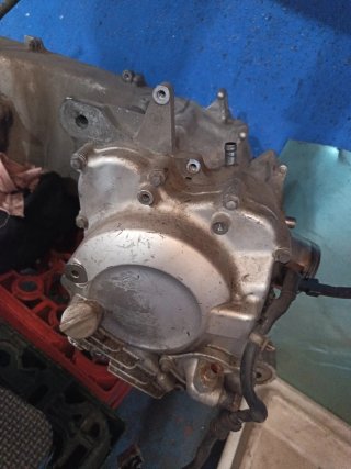 Alternador/Encendido Honda SH300