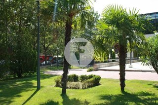 Oficina en alquiler en Costillares en Madrid