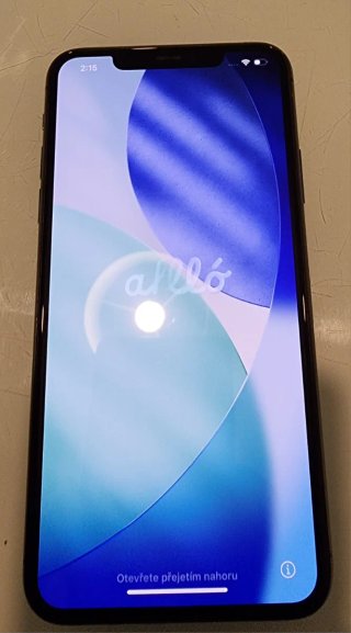 iPhone 11 Pro Max 256GB Gris Espacial