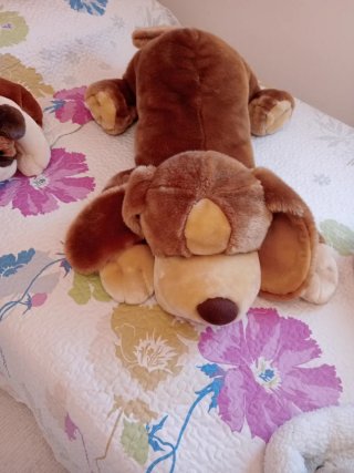Lote de peluches envío por correos