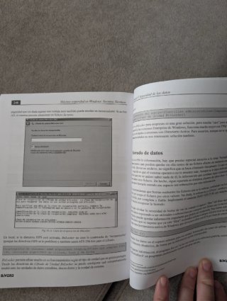 Libro Máxima Seguridad en Windows Hacking