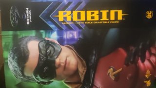 Figura Hot Toys Robin