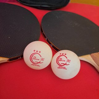 2 Palas y 2 Pelotas Ping Pong