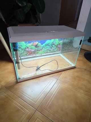 Acuario 60L con luz LED, filtro y calentador