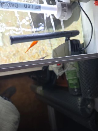 Acuario 60L con luz LED, filtro y calentador