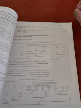 Lengua castellana y literatura 1, Le Bachillerato