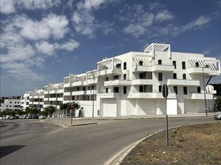Local comercial en alquiler en El Mayorazgo - El Limonar en Málaga