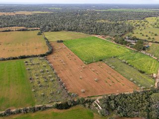 Solar en venta en Campos