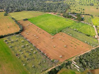 Solar en venta en Campos