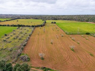 Solar en venta en Campos