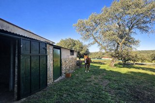 Terreno en venta en Zona Sur-Av. de España-San Miguel en Plasencia