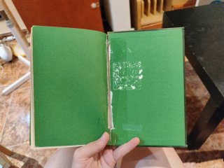 Diario de Greg 3, ¡Esto es el colmo!