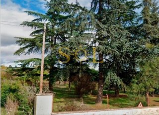 Terreno en venta en San Esteban en León