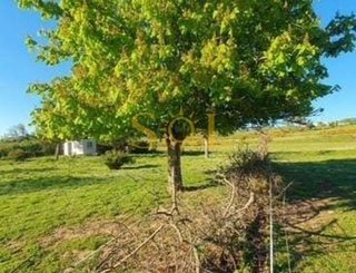 Terreno en venta en San Esteban en León