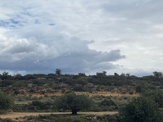 Terreno en venta en Cheste