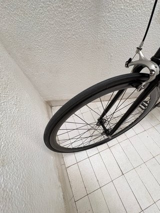 Bicicleta Santafixie Born