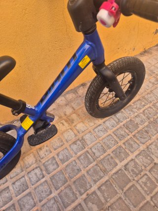 Bicicletta a pedalata assistita Giant