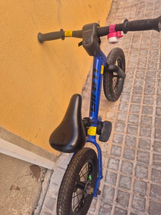 Bicicletta a pedalata assistita Giant