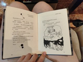Diario de hazañas de Lobito
