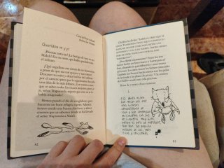 Diario de hazañas de Lobito