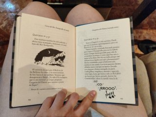 Diario de hazañas de Lobito
