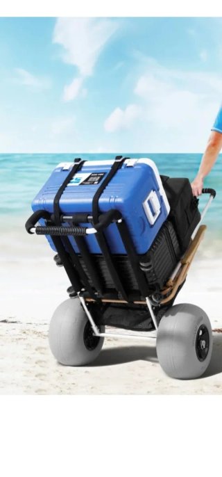 Carrito de Playa VEVOR Negro
