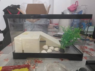 Acuario Tortugas Cristal y Plástico