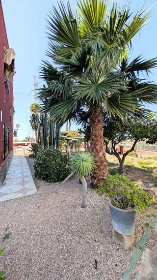 Chalet en venta en Peña de las Águilas en Elche