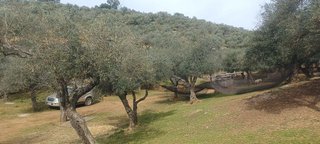 Terreno en venta en Constantina